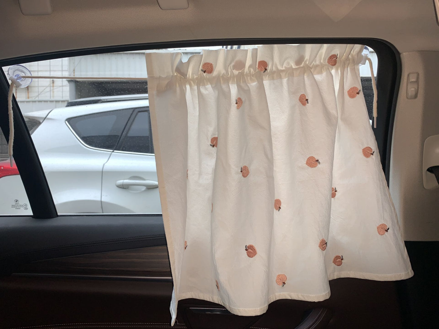 Car Curtains